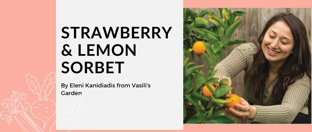 Strawberry & Lemon Sorbet with Vasili's Garden - MOD Appliances Australia