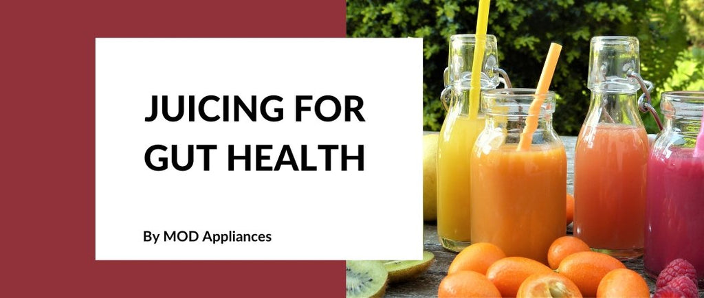 Benefits of Juicing for Gut Health (plus three awesome recipes!) - MOD Appliances Australia