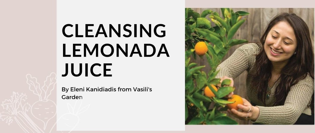 Cleansing Lemonada Juice with Vasili's Garden - MOD Appliances Australia