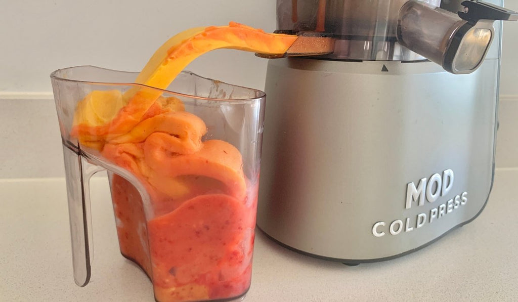 Homemade Sorbet Using Your MOD Cold Press Juicer - MOD Appliances Australia