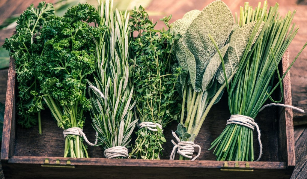 Adding Fresh Herbs To Your Cold Pressed Juices