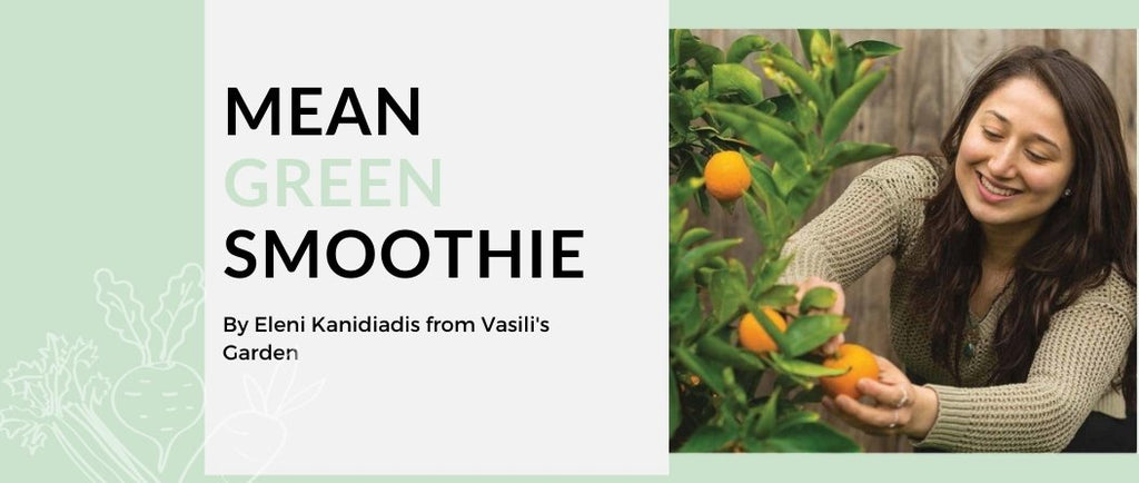 Mean Green Smoothie with Vasili's Garden - MOD Appliances Australia