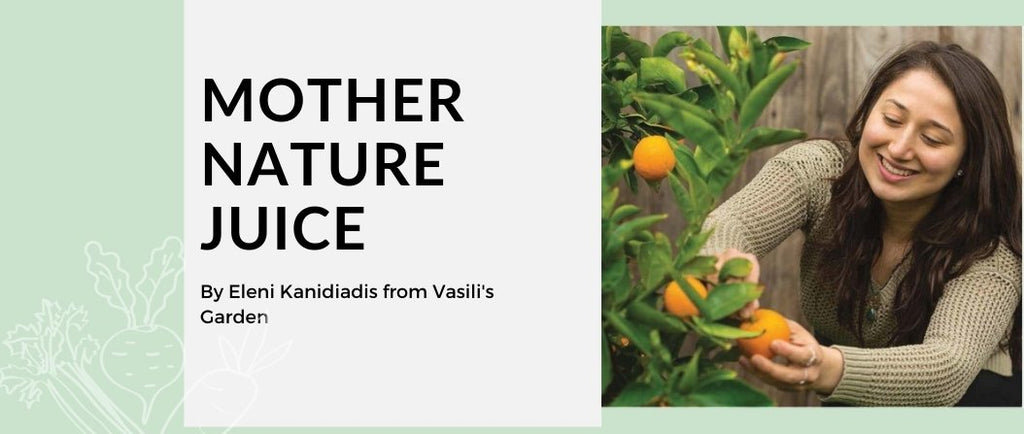 Mother Nature Juice with Vasili's Garden - MOD Appliances Australia