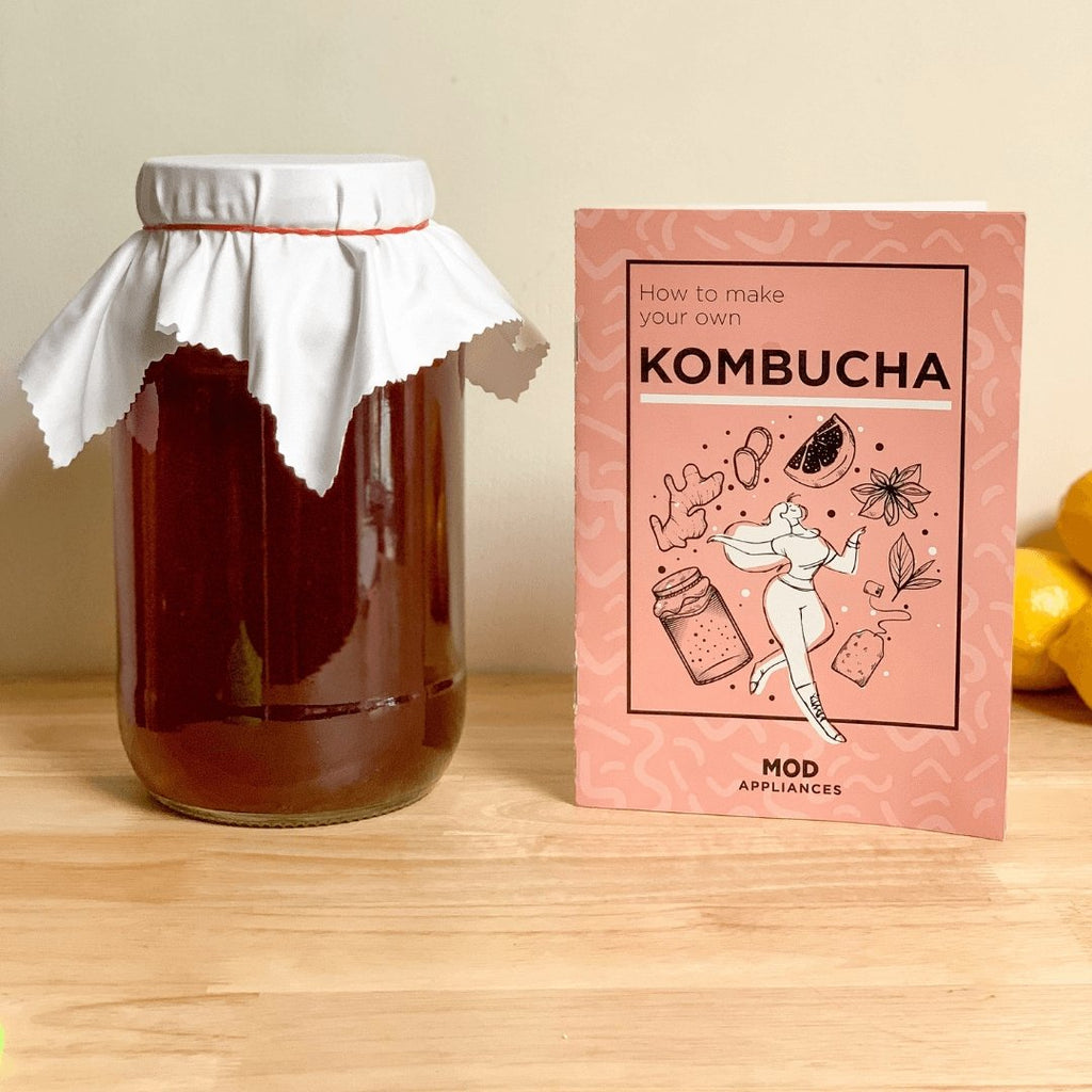 kombucha starter kit